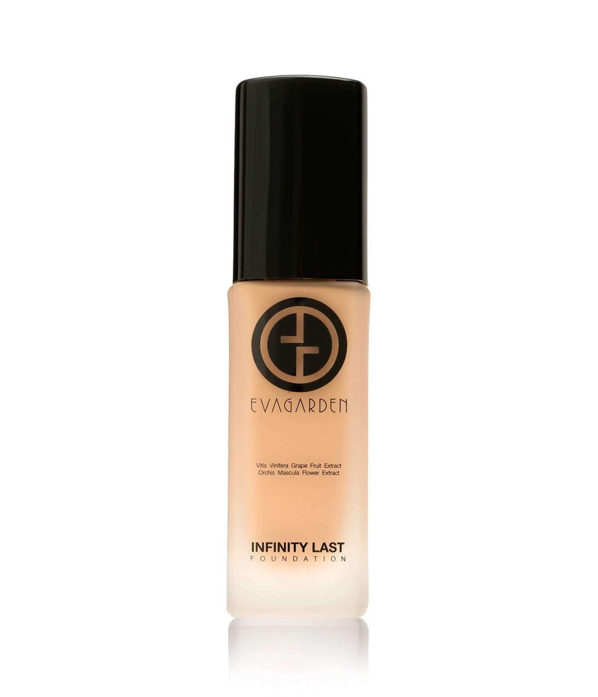 INFINITY LAST FOUNDATION 263